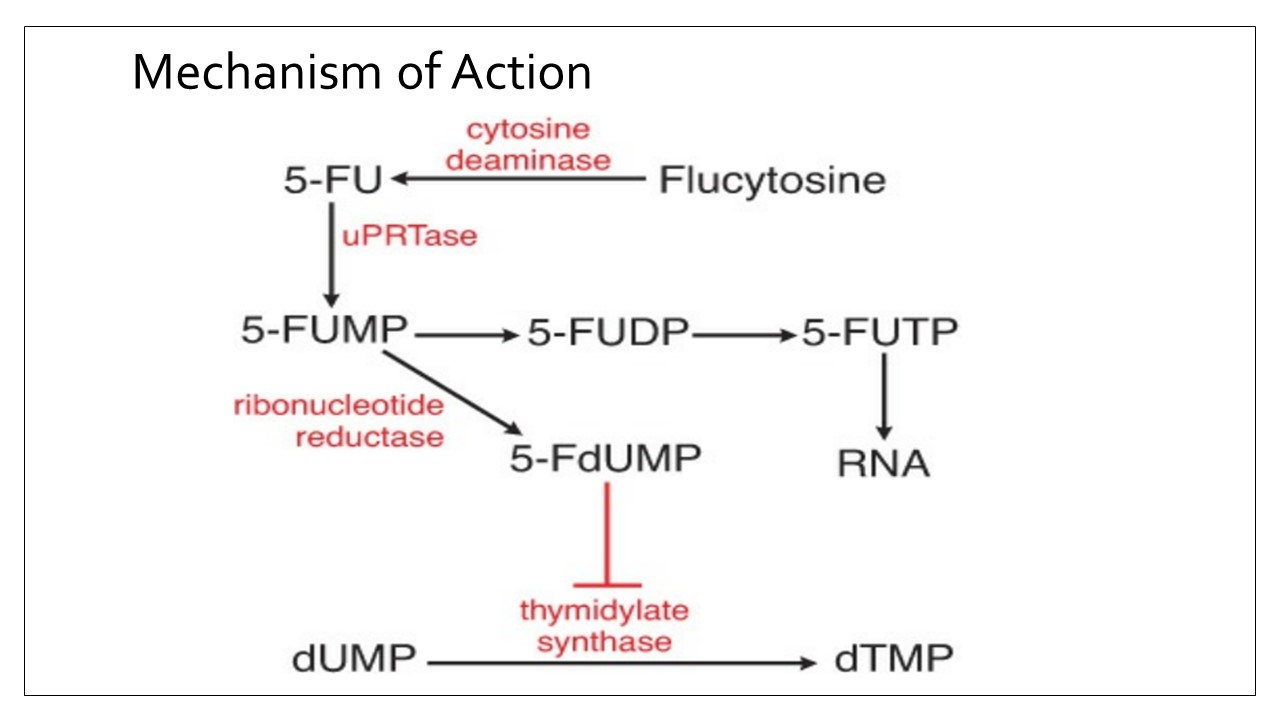Slide 14