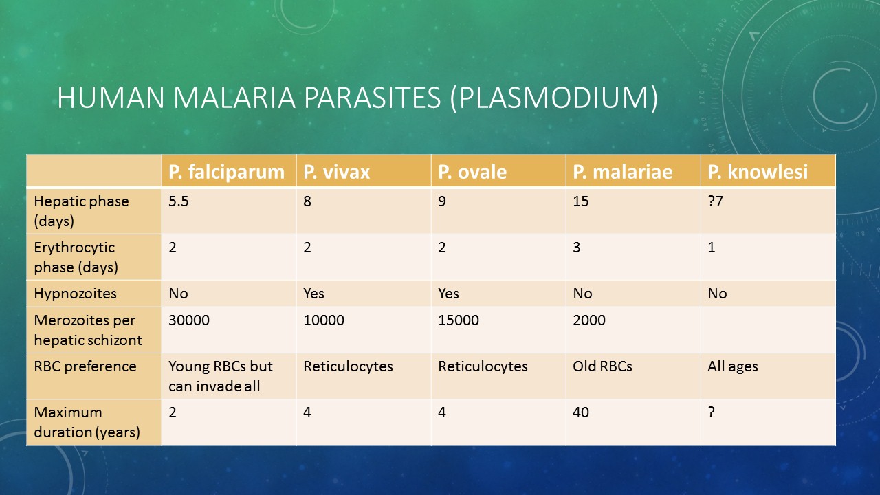 Slide 3