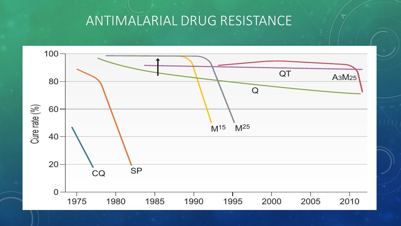 Slide 85