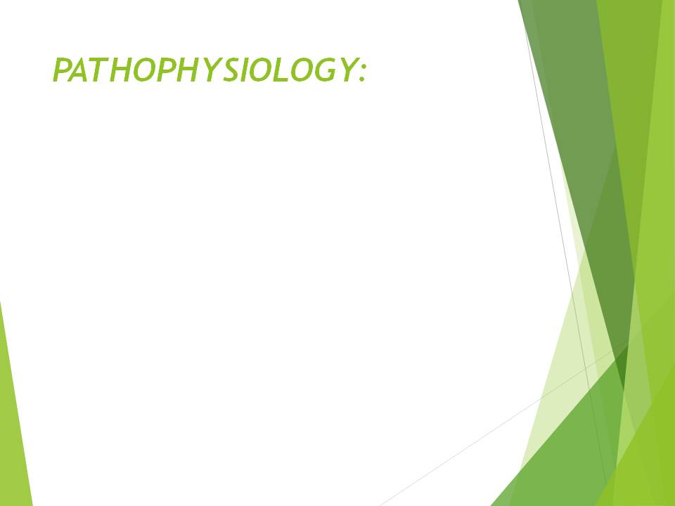 Slide 16