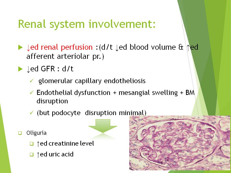 Slide 40