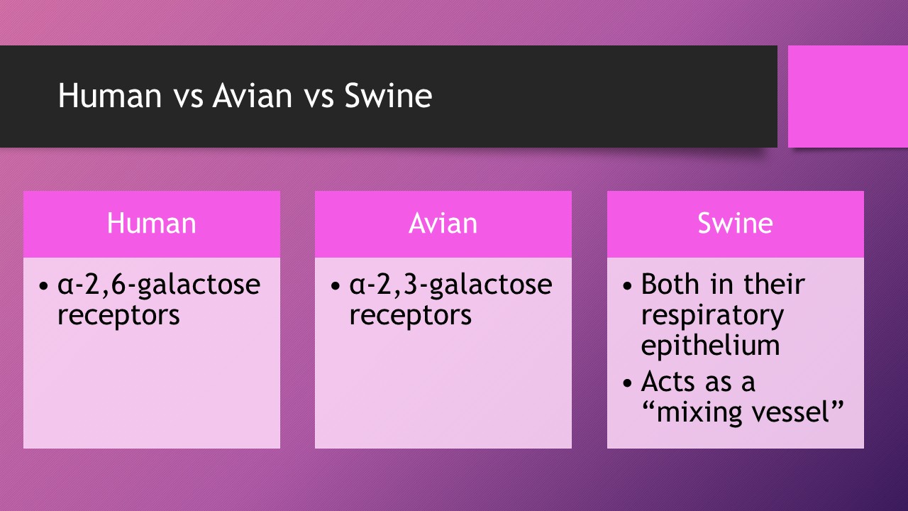 Slide 13
